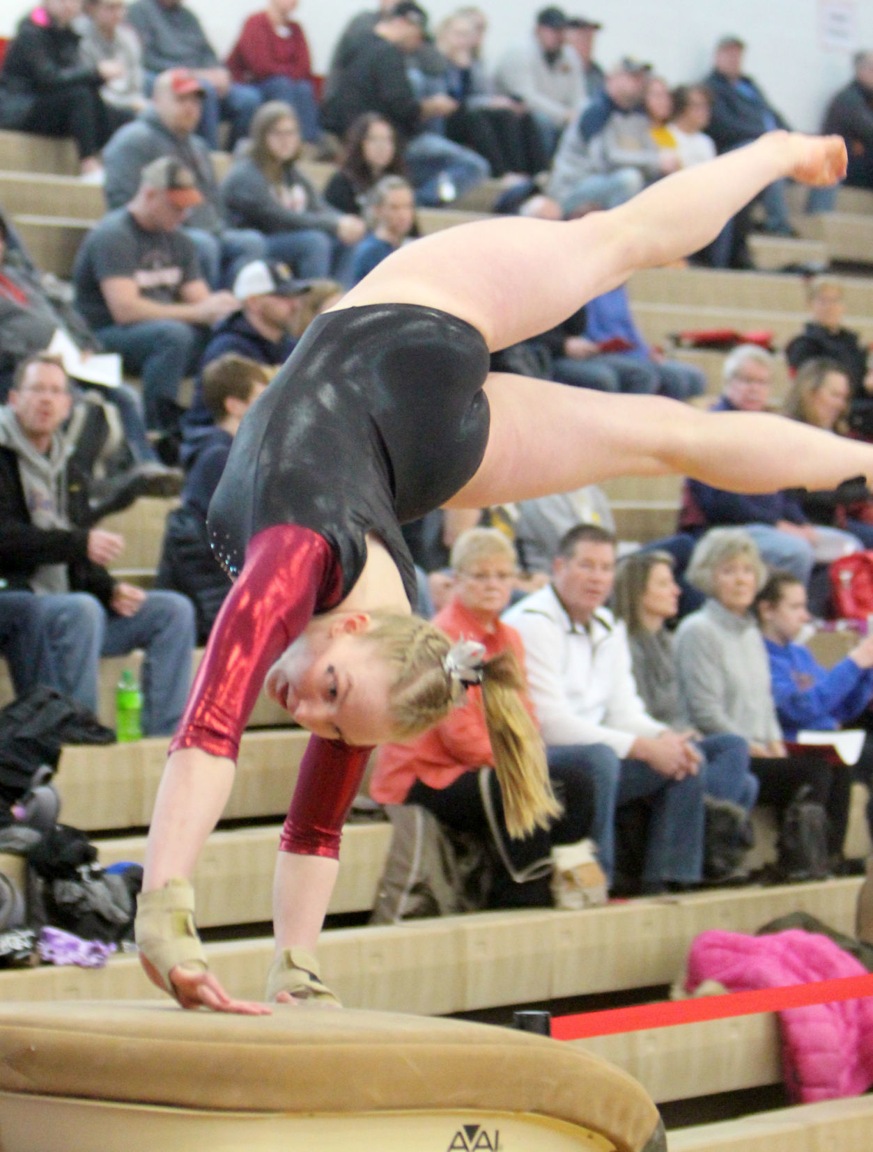 Big Rivers Conference Gymnastics Meet at Chippewa Falls 2-16-19